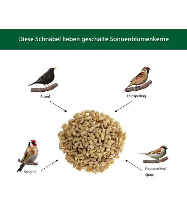 Dehner Natura Futter-Stangen Sonnenblumenkerne 4 Dehner Natura Futter-Stangen Sonnenblumenkerne – Bild 2